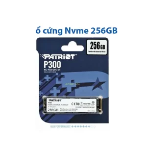 Ổ cứng SSD Nvme 256G Patriot P300
